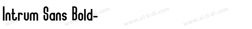Intrum Sans Bold字体转换